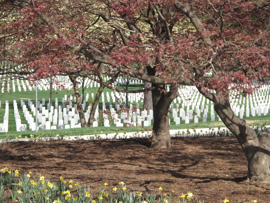 NAFCA and Arlington National Cemetery